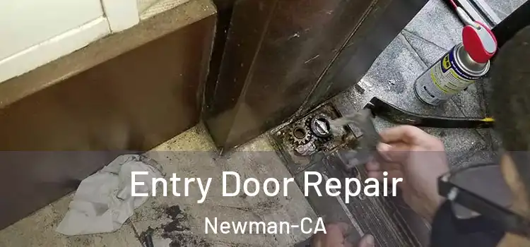  Entry Door Repair Newman-CA