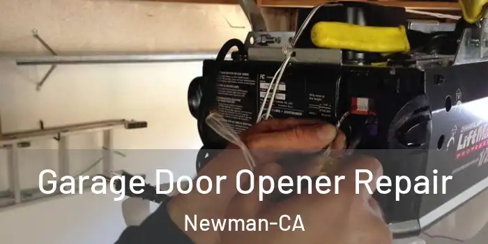  Garage Door Opener Repair Newman-CA