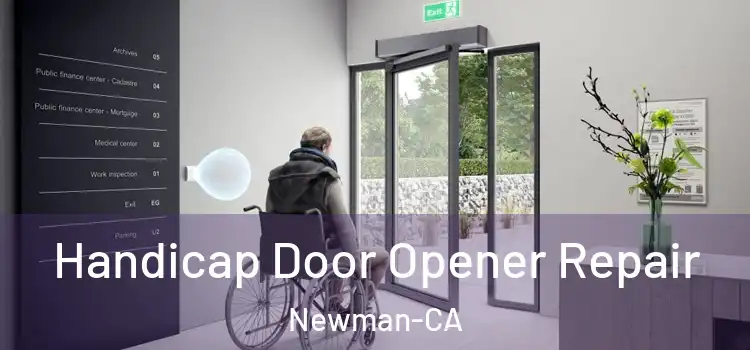  Handicap Door Opener Repair Newman-CA