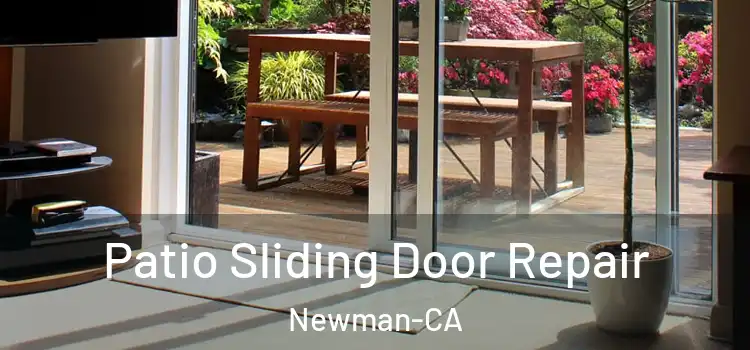  Patio Sliding Door Repair Newman-CA
